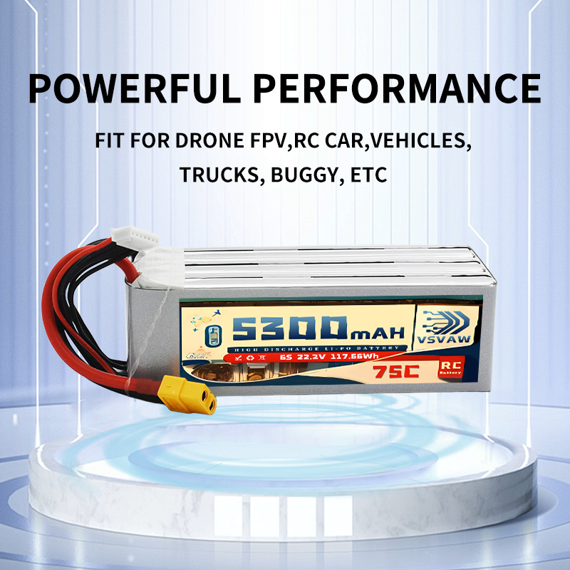 VSVAW 6S 5300mAh Lipo Battery  - Drone Battery Plate 리뷰 및 가격